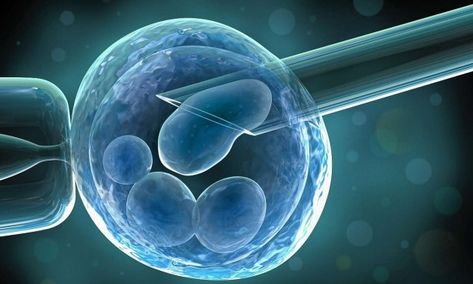 2020年云南楚雄州生物医药业增加值或破100亿