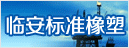 临安标准像塑