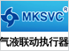 成都麦可森