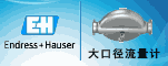 Endress+Hauser 