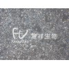 CRL-6323 B16F1 小鼠黑色素瘤细胞，ATCC