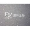 CRL-1446 H9c2(2-1) 大鼠心肌细胞