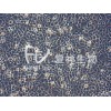 RSC96 大鼠雪旺细胞 ATCC细胞