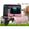 龙岩兽用B超，兽用B超测孕仪，兽用B超价格
