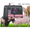 奶牛测孕仪HRQ-7000AV，奶牛B超机