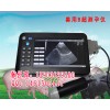 兽用B超，兽用B超测孕仪，兽用B超价格