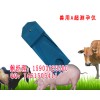 母猪A超测孕仪，母猪A超测孕仪价格
