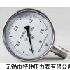 不锈钢防震压力表型号规格，量程，精度等级