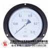 Y-250ZT普通压力表