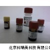 糖蛋白CA724 ELISA试剂盒 肿瘤标志物试剂盒