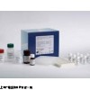 抗甲状腺球蛋白抗体大鼠elisa试剂盒