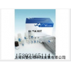 大鼠血管内皮细胞生长因子D(VEGF-D)kit 大鼠kit